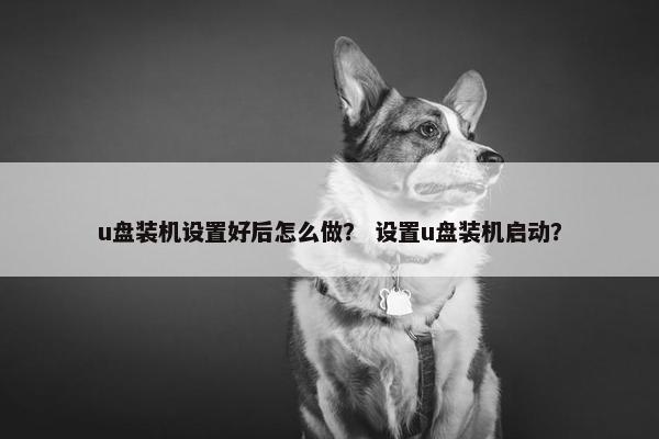 u盘装机设置好后怎么做？ 设置u盘装机启动？