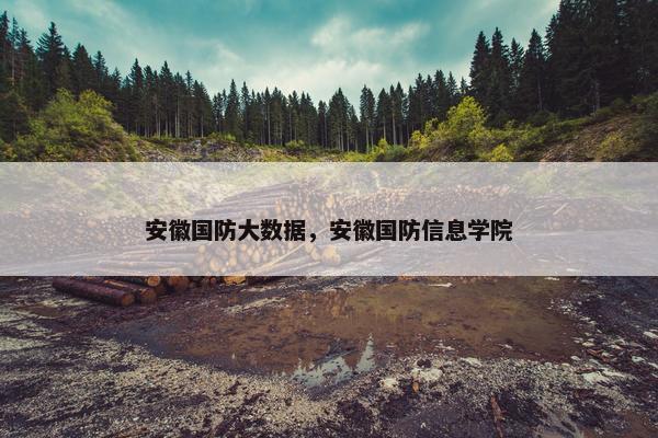 安徽国防大数据，安徽国防信息学院