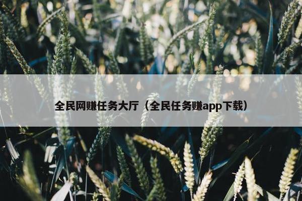 全民网赚任务大厅（全民任务赚app下载）
