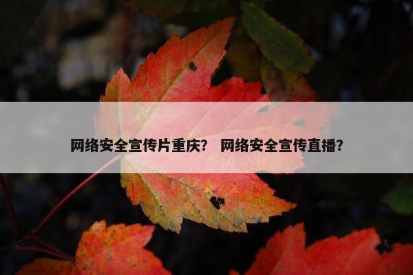 网络安全宣传片重庆？ 网络安全宣传直播？