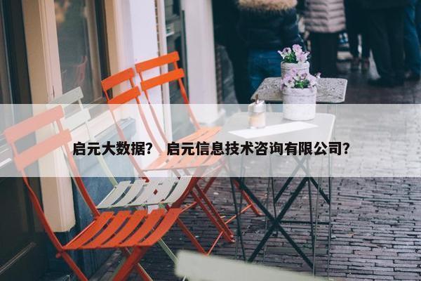 启元大数据？ 启元信息技术咨询有限公司？