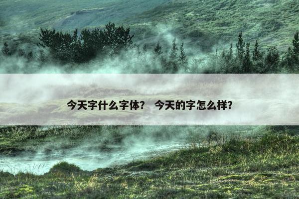 今天字什么字体？ 今天的字怎么样？