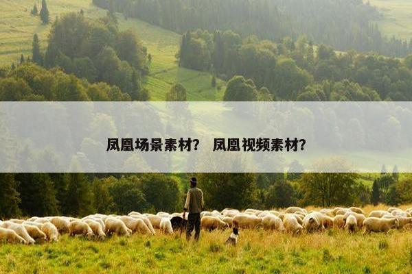 凤凰场景素材？ 凤凰视频素材？