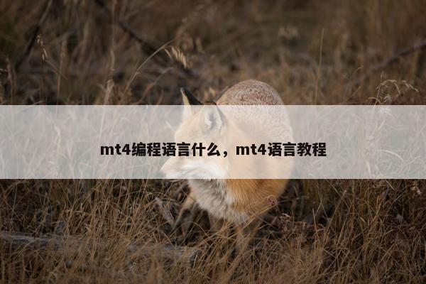 mt4编程语言什么，mt4语言教程