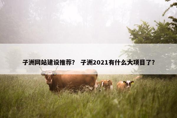 子洲网站建设推荐？ 子洲2021有什么大项目了？