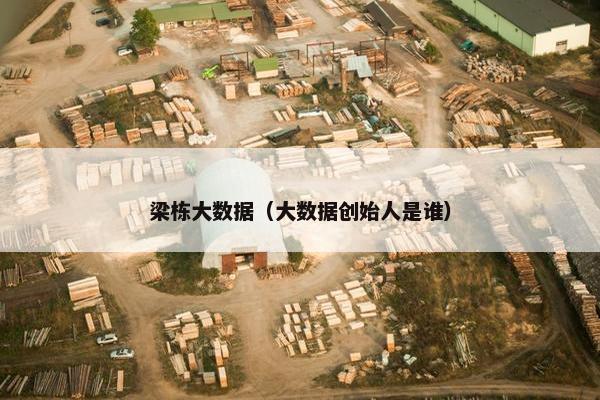 梁栋大数据（大数据创始人是谁）