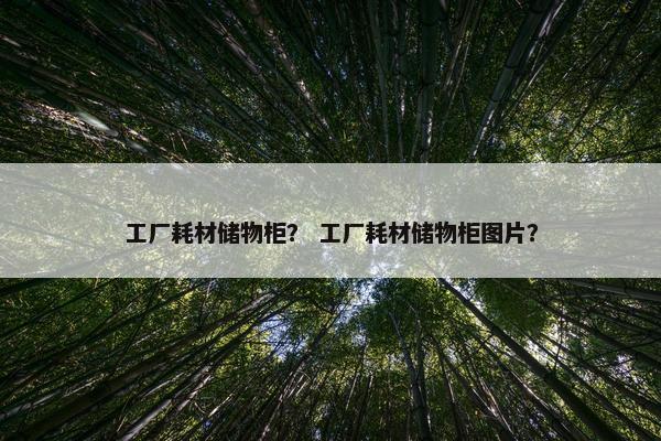 工厂耗材储物柜？ 工厂耗材储物柜图片？