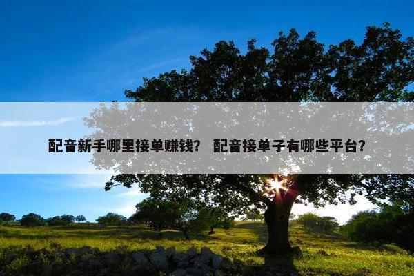 配音新手哪里接单赚钱？ 配音接单子有哪些平台？