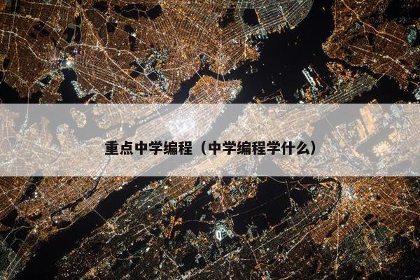 重点中学编程（中学编程学什么）