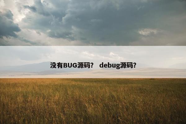 没有BUG源码？ debug源码？