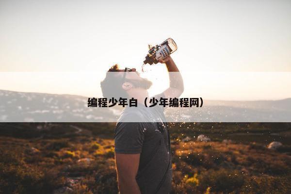 编程少年白（少年编程网）