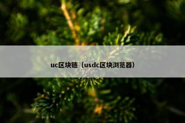 uc区块链（usdc区块浏览器）