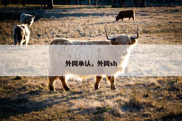 外网承认，外网sh