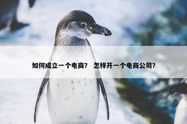 如何成立一个电商？ 怎样开一个电商公司？