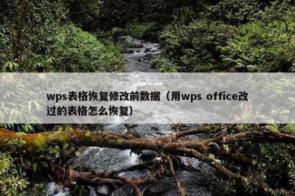 wps表格恢复修改前数据（用wps office改过的表格怎么恢复）