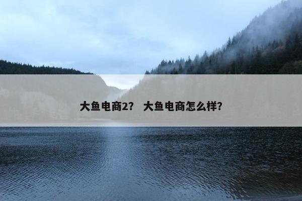 大鱼电商2？ 大鱼电商怎么样？