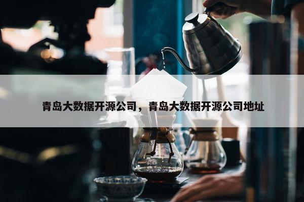 青岛大数据开源公司，青岛大数据开源公司地址