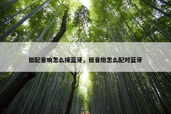 低配音响怎么接蓝牙，低音炮怎么配对蓝牙