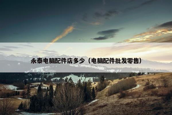 永泰电脑配件店多少（电脑配件批发零售）