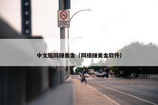 中文版网赚美金（网络赚美金软件）