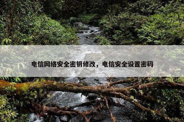 电信网络安全密钥修改，电信安全设置密码
