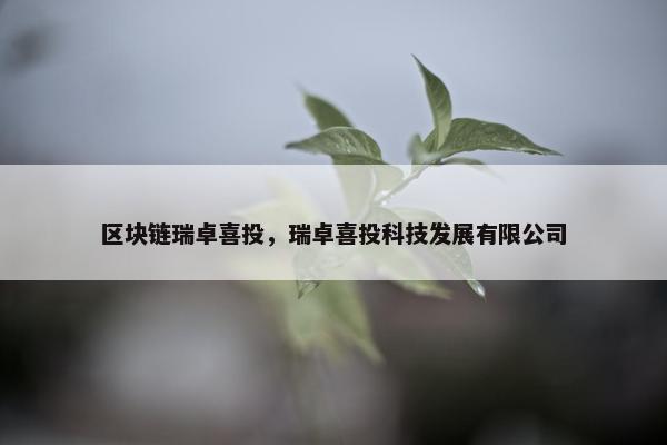 区块链瑞卓喜投，瑞卓喜投科技发展有限公司