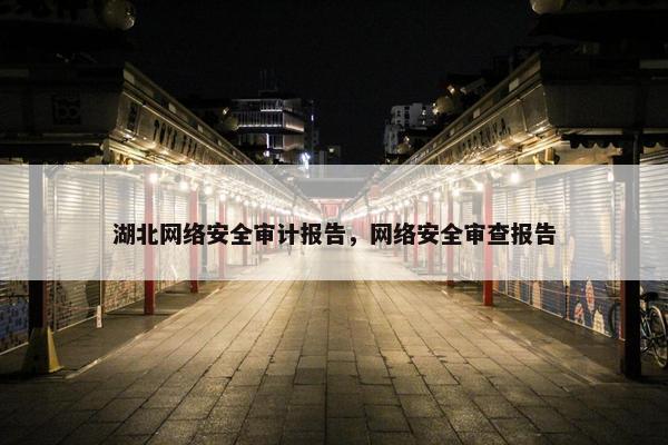 湖北网络安全审计报告，网络安全审查报告