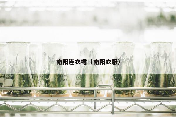 南阳连衣裙（南阳衣服）