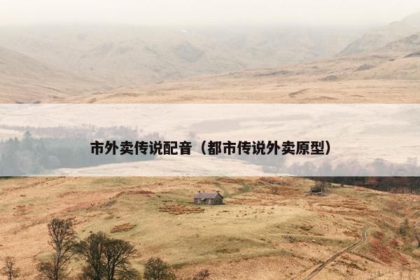 市外卖传说配音（都市传说外卖原型）