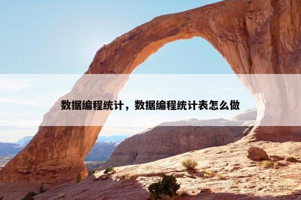 数据编程统计，数据编程统计表怎么做
