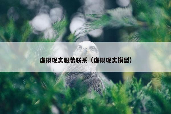 虚拟现实服装联系（虚拟现实模型）