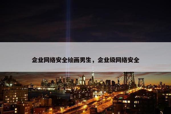企业网络安全绘画男生，企业级网络安全