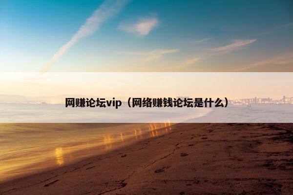 网赚论坛vip（网络赚钱论坛是什么）