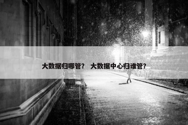 大数据归哪管？ 大数据中心归谁管？