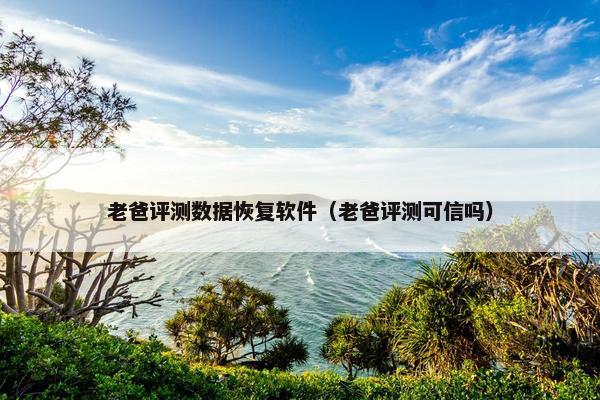 老爸评测数据恢复软件（老爸评测可信吗）