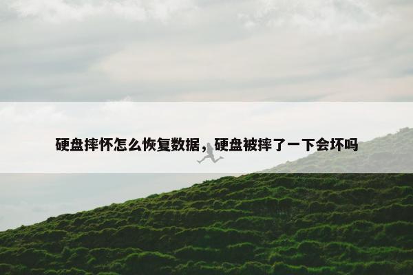 硬盘摔怀怎么恢复数据，硬盘被摔了一下会坏吗