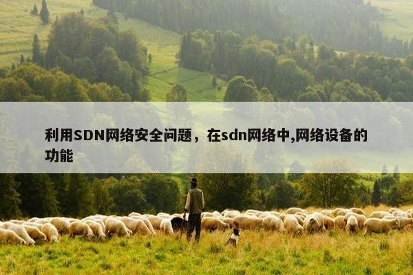 利用SDN网络安全问题，在sdn网络中,网络设备的功能