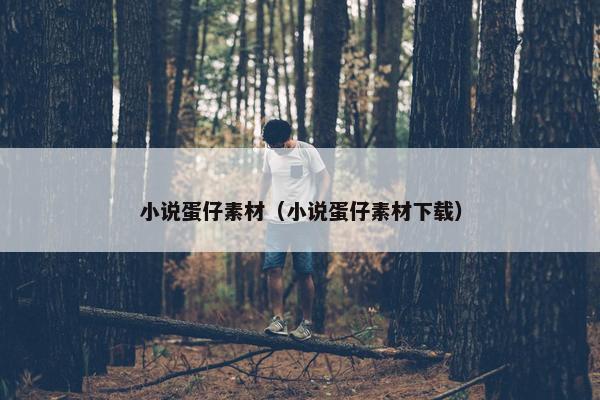 小说蛋仔素材（小说蛋仔素材下载）