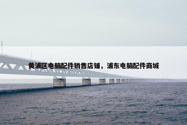 黄浦区电脑配件销售店铺，浦东电脑配件商城