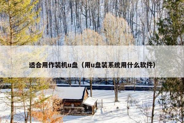 适合用作装机u盘（用u盘装系统用什么软件）