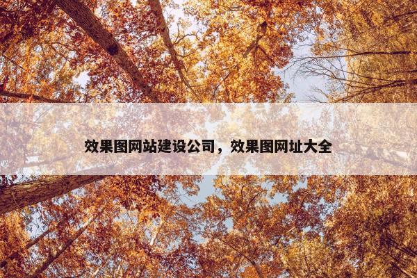 效果图网站建设公司，效果图网址大全