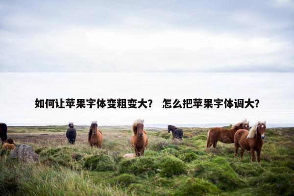 如何让苹果字体变粗变大？ 怎么把苹果字体调大？
