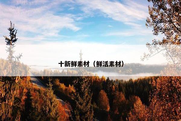 十新鲜素材（鲜活素材）