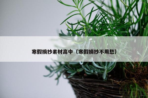 寒假摘抄素材高中（寒假摘抄不用愁）