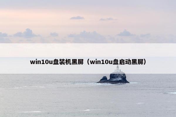 win10u盘装机黑屏（win10u盘启动黑屏）