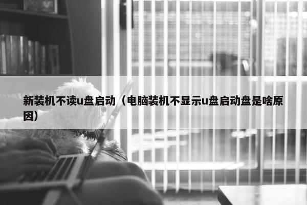 新装机不读u盘启动（电脑装机不显示u盘启动盘是啥原因）
