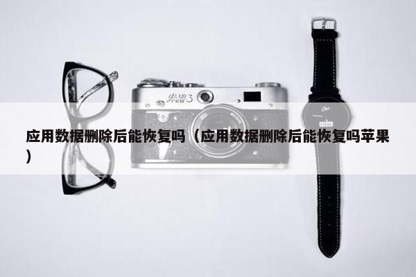 应用数据删除后能恢复吗（应用数据删除后能恢复吗苹果）