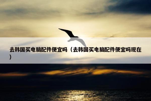 去韩国买电脑配件便宜吗（去韩国买电脑配件便宜吗现在）