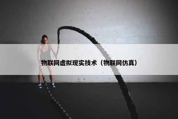 物联网虚拟现实技术（物联网仿真）