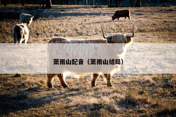 萧雨山配音（萧雨山结局）